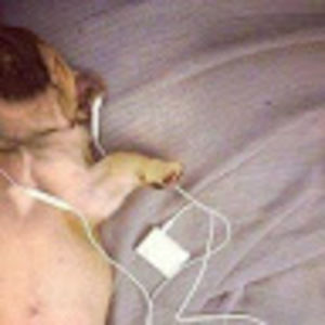 Meet your Posher, Daniela